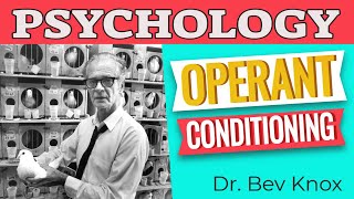 B. F. Skinner & Operant Conditioning Explained