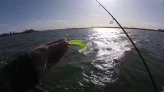 Zander Fishing - Grafham Water