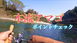 １年経つと変わってた！？本流アマゴ釣り