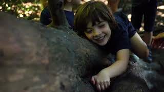 Forest School at the Pre-Prep