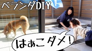 ベランダDIYしてたら２歳娘が柴犬に「ダメ！」と注意していた｜犬と子供のvlog