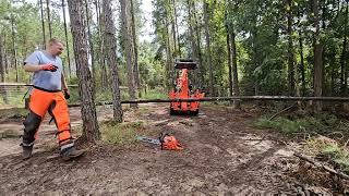 Kubota BX23s Bucking trees with backhoe thumb