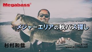 【琵琶湖】メジャーエリアの秋バス探し　杉村和哉