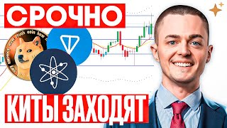 ГОРЯЧИЕ АЛЬТКОИНЫ, КОТОРЫЕ РАЗГОНЯТ ТВОЙ ДЕПОЗИТ! 💰ATOM, TON, DOGE, SUI