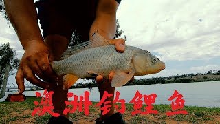 澳洲墨累河（Murray River）如何钓鲤鱼（Carps）