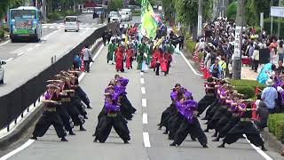 高知学生 旅鯨人　2024　犬山踊芸祭　パレード会場　6月2日　2日目　パレード審査9番目　第２０回犬山踊芸祭