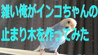 ⑯雑い俺がインコちゃんの止まり木を作ってみた