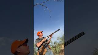 Browning Citori Dove 2023 #hunting #upland #overunder #dove #shotgun #12gauge