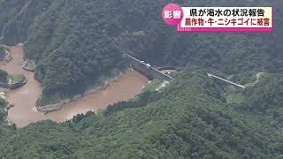 【渇水被害】猛暑と雨不足の影響広がる　牛や豚などの家畜をはじめ養殖のニシキゴイにも被害 《新潟》