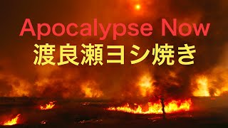 Like Apocalypse Now【Yoshi_grilled JAPAN】渡良瀬遊水地ヨシ焼き 大地を駆け巡り天を突くその名は 炎のロックンローラー by HIDEMI KAWANOBE