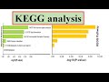 KEGG analysis #kegg database  #genomewidestudy