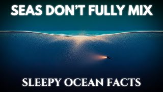 Salinity Gradients — The Subtle Balance of the Sea | For Sleep