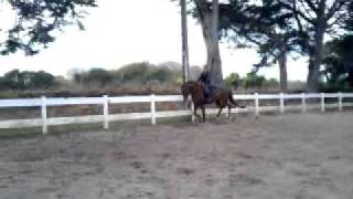 Romarin M'aurea entrainement reprise CCE Amateur 2 Grand Prix.mp4