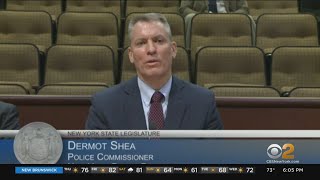 Assembly Lawmakers Grill NYPD Commissioner Dermot Shea About Gun Violence