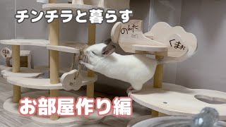 チンチラと暮らすお部屋作り