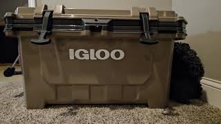 REVIEW: Amazing Igloo IMX Hard Cooler