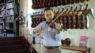 Gliga Vasile Professional Violin | Simply For Strings