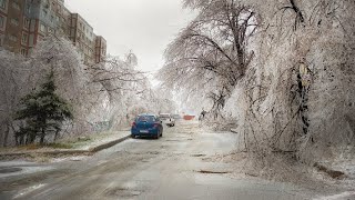 Vladivostok frozen in ice after exceptional freezing rain - Natural Disaster