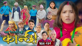 कान्छि भाग २३९ | kanchhi new episode | kanchhi today episode | #kanchhiserial #kanchhinayabhag 239