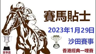 賽馬貼士 沙田賽事 (2023年1月29日)