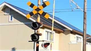 【踏切】銚子電鉄　警報灯が変な配置の踏切 (Railroad crossing in Japan)