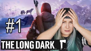 Egy téli túlélő játék! | Long Dark #1