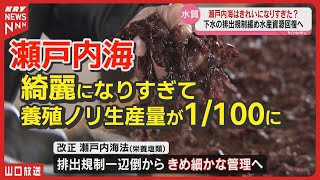 下水規制緩和で養殖ノリ復活なるか？瀬戸内海の水質改善が新たな課題に！