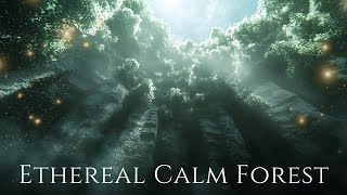 Ethereal Calm Forest