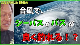 【村田基】台風と釣りの関係【村田基切り抜き】