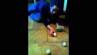 Spring equinox experiment!!!