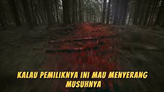 CERITA HORROR !! LEGENDA BAYI BAJANG ⁉️😲 #fypシ゚viral #foryou #fy #horrorstory #fyp #fypage