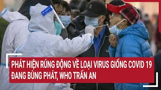 Điểm nóng 9/1: Phát hiện rúng động về loại virus giống Covid 19 đang bùng phát, WHO trấn an