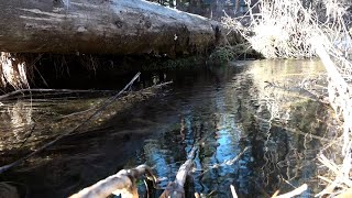 Team that studied huge buried aquifer atop the Oregon Cascades speaks on potential Central Oregon