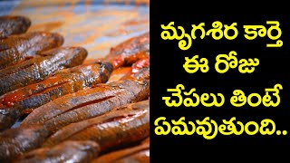 మృగశిర కార్తె రోజు చేపలు ఎందుకు తింటారు ? | Why fish should be eaten on the day of the rainy season