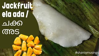 Jackfruit ada | chakka ada | chakka adai | ചക്ക അട | ShanisMusings