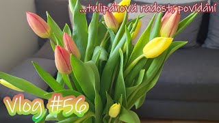 Tulipánová radost | hodně povídání | překvapení do krabiček | VLOG