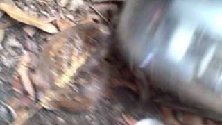 Charlotte Home Inspector Shows You How People Steal Power