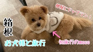 お犬様と部屋付きドッグランのあるお宿に旅行に行きました。