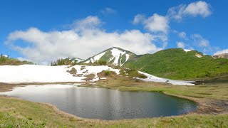 火打山 笹ヶ峰からピストン 2022.7.1 | Hiking | GoPro HERO9 | 4K