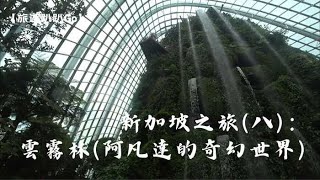 【旅遊趴趴Go】新加坡之旅(八)：雲霧林(阿凡達的奇幻世界)