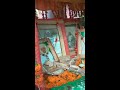 107 mahanyagya at shri om darbar nandachaur dham