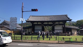 ⁴ᴷ【奈良 東大寺/国宝 転害門/2020】10/20(火)