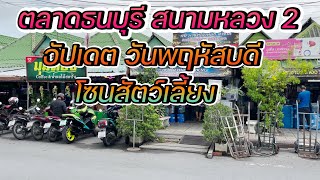 ตลาดธนบุรี สนามหลวง 2 | ตลาดปลาสนามหลวง 2 | ตลาดสัตว์เลี้ยง | ตลาดต้นไม้ | อัปเดต วันพฤหัสบดี ล่าสุด