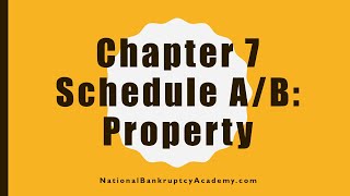 Chapter 7 Schedule A/B Preview, Official Bankruptcy Form 106A/B