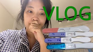 [임신vlog(1)]한줄이냐,두줄이냐...피말리는 임신테스트기와의 전쟁