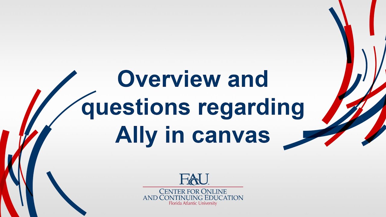 Overview And Questions Regarding Ally In Canvas - Professional ...