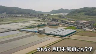 西日本豪雨からまもなく5年　倉敷・真備町のブドウ「こんなに回復してくれるとは」被災後も栽培を続ける農家の思い