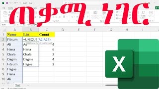 ኤክሴል ላይ ጠቃሚ ነገር / Excel in Amharic