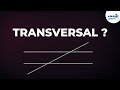 Angles Formed by a Transversal with Two Parallel Lines | Infinity Learn