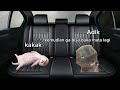 pov kompilasi seru meme kucing 10 menit part 5 meme kucing lucu